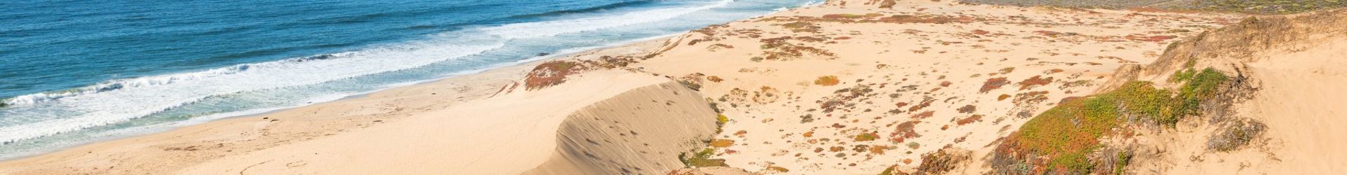 Sand City